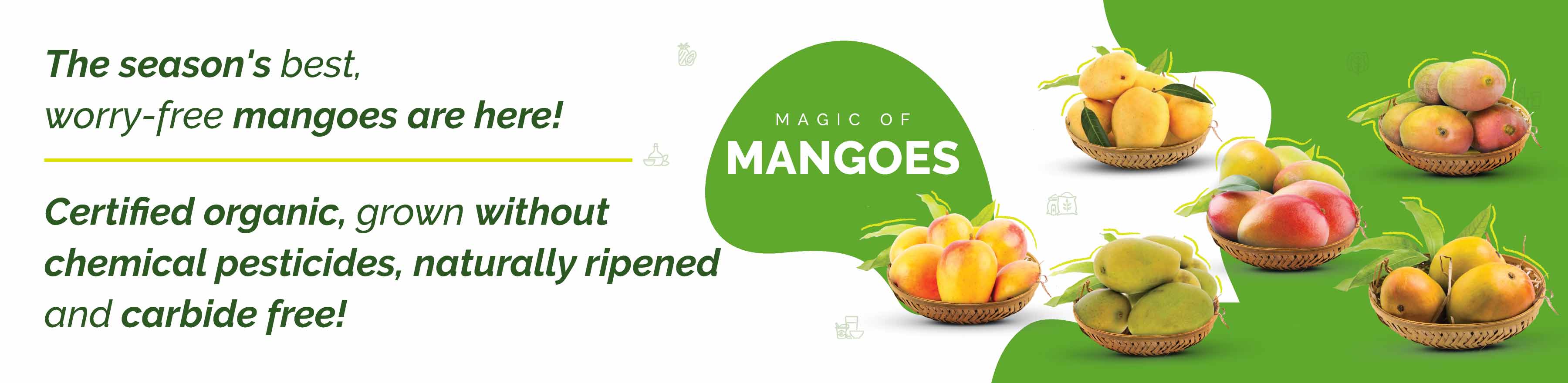 Mango Mania